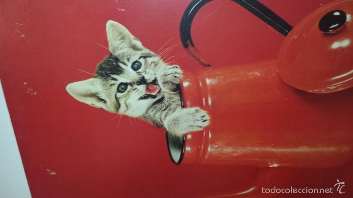 Vintage: GATITO - Foto 2