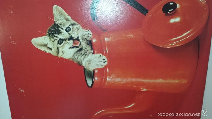 Vintage: GATITO - Foto 3