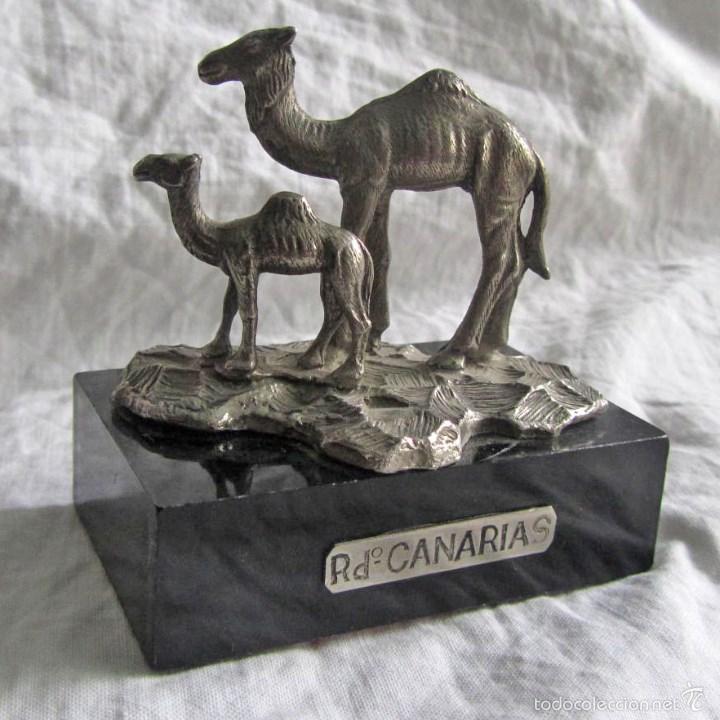 Vintage: Camellos de metal sobre peana de pl&aacute;stico Recuerdo de Canarias