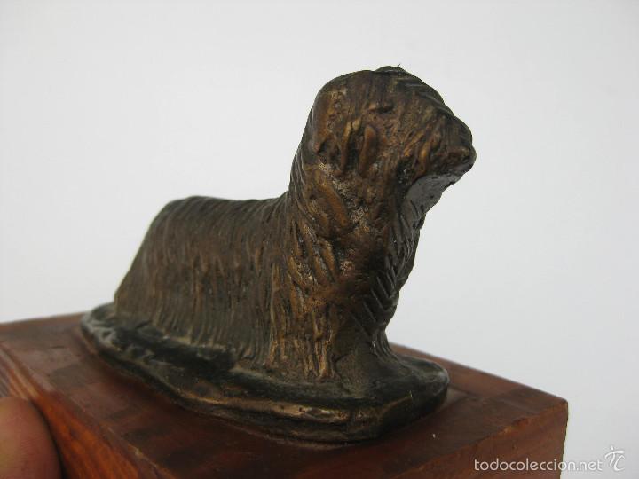Vintage: PERRO YORKSHIRE TERRIER EN BRONCE EN PEANA DE MADERA - Foto 1