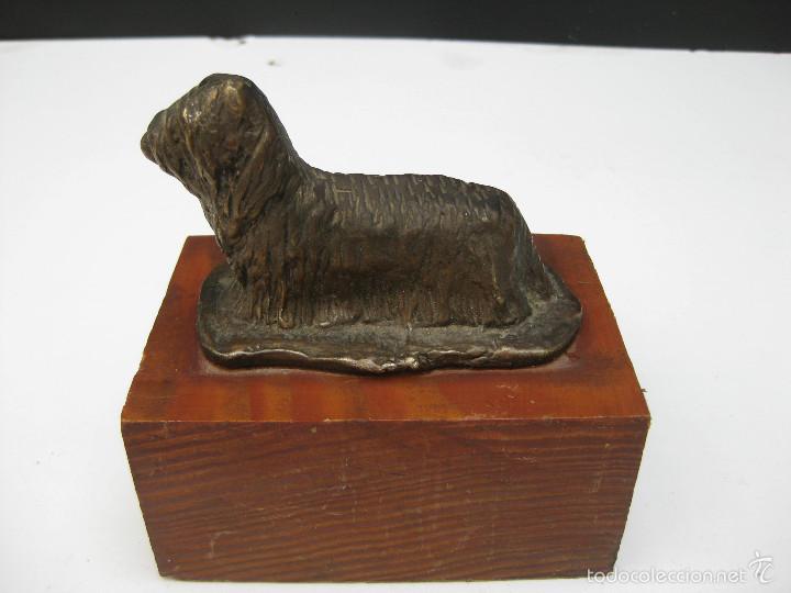 Vintage: PERRO YORKSHIRE TERRIER EN BRONCE EN PEANA DE MADERA - Foto 2
