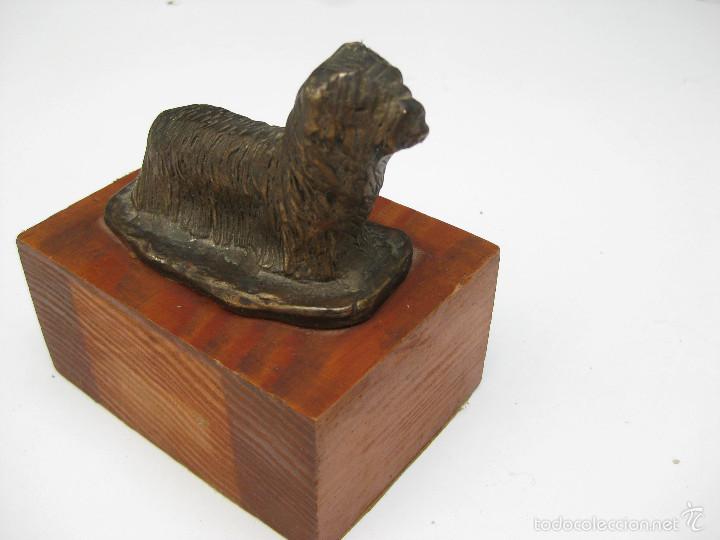 Vintage: PERRO YORKSHIRE TERRIER EN BRONCE EN PEANA DE MADERA - Foto 3