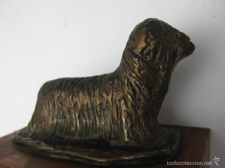 Vintage: PERRO YORKSHIRE TERRIER EN BRONCE EN PEANA DE MADERA - Foto 4