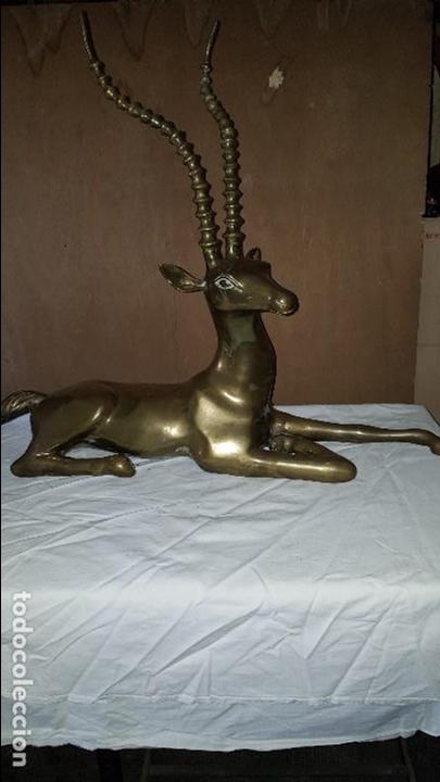 Vintage: IMPALA BRONCE EXTRAORDINARIO - Foto 1