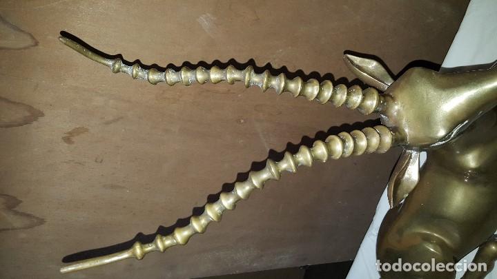Vintage: IMPALA BRONCE EXTRAORDINARIO - Foto 3