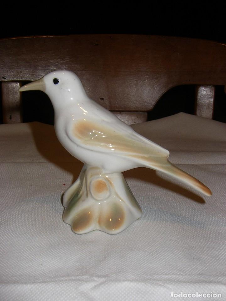 Vintage: P&aacute;jaro de porcelana