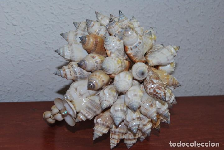 Vintage: CESTO DE CONCHAS Y CARACOLAS - A&Ntilde;OS 60 - CESTA - Foto 10