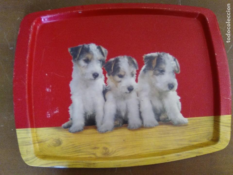 Vintage: Bandeja con tres perritos. - Foto 1