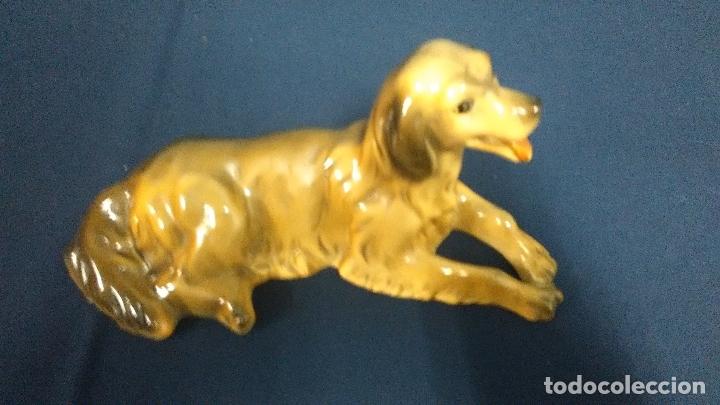 Vintage: FIGURA VINTAGE PERRO ESCAYOLA SETTER