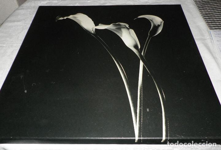 Vintage: impresion de lirios en tela  50 cms  x  50 cms