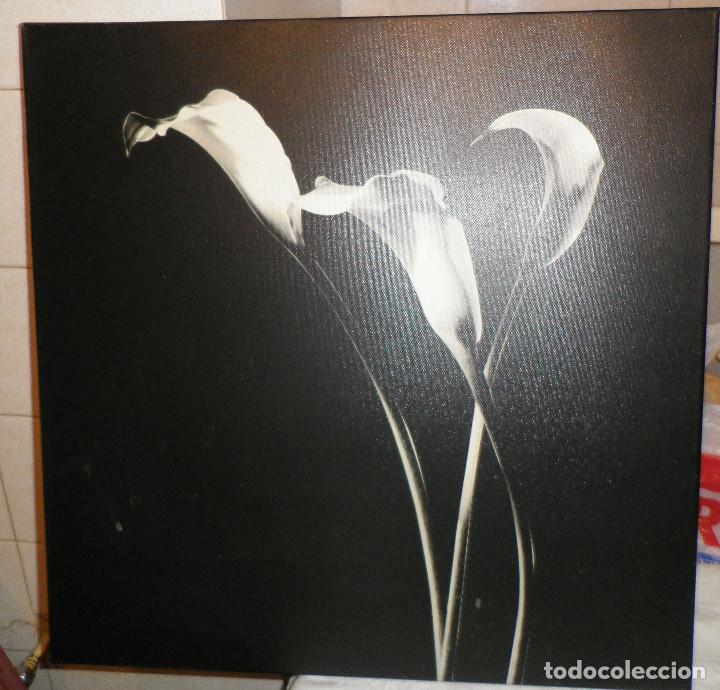 Vintage: impresion de lirios en tela  50 cms  x  50 cms - Foto 2