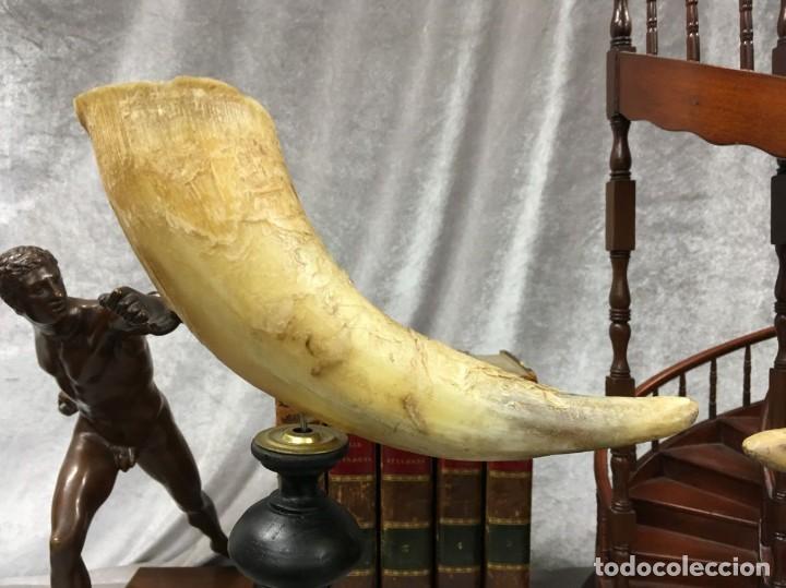 Vintage: Pareja de Cuernos Objeto de Decoraci&oacute;n de Escritorio - Foto 3