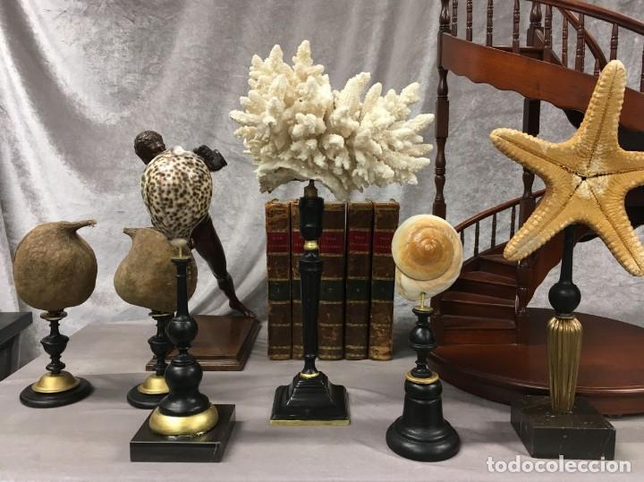 Vintage: Pareja de Cuernos Objeto de Decoraci&oacute;n de Escritorio - Foto 8