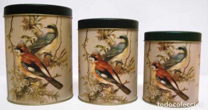 Vintage: SET 3 CAJAS LATA MET&Aacute;LICAS REDONDAS DE DIFERENTES TAMA&Ntilde;OS P&Aacute;JAROS SOBRE RAMAS &iexcl;NUEVAS! A&Ntilde;OS 80.