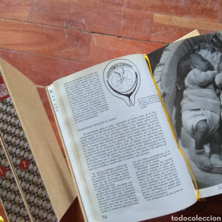 Vintage: LOTE COLECCION EDICIONES NAUTA LIBROS VINTAGE - Foto 7