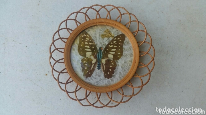Vintage: Posavasos con soporte mariposas - Foto 3