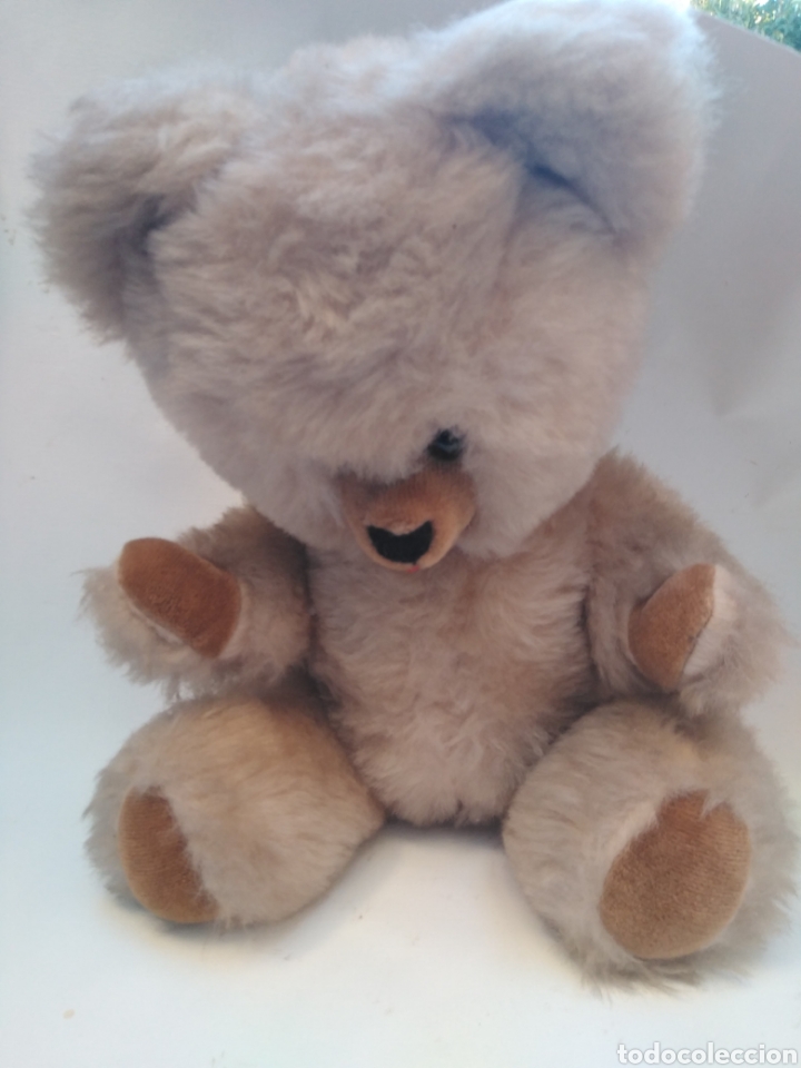 Vintage: Oso peluche - Foto 1