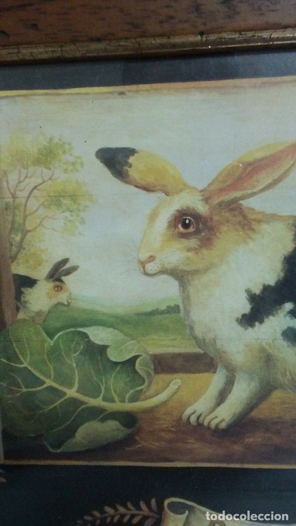 Vintage: 2 CUADROS CISNE Y CONEJO MID - Foto 5