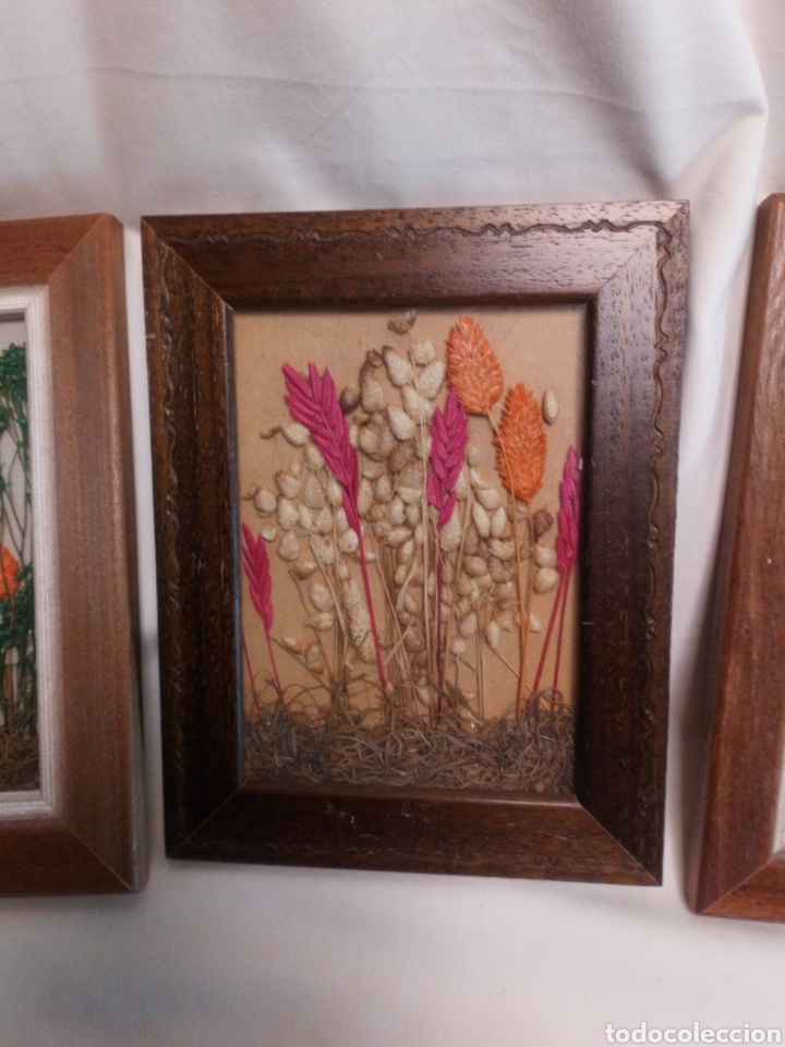 Vintage: Vintage. Cuadros flores secas. - Foto 3