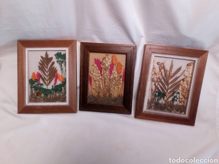Vintage: Vintage. Cuadros flores secas. - Foto 1