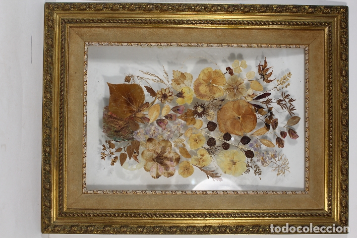 cuadro con hojas secas