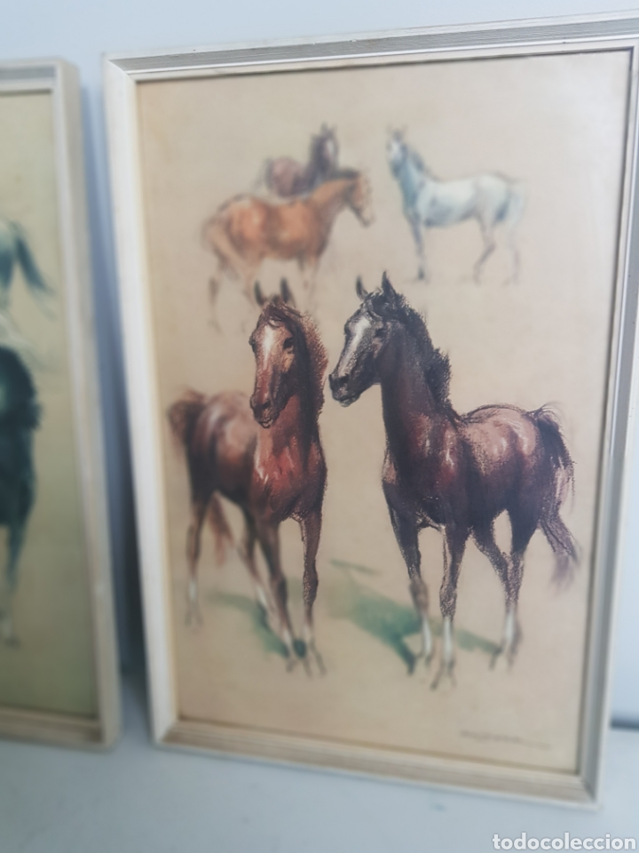 Vintage: PAREJA DE CUADROS CABALLOS - Foto 3