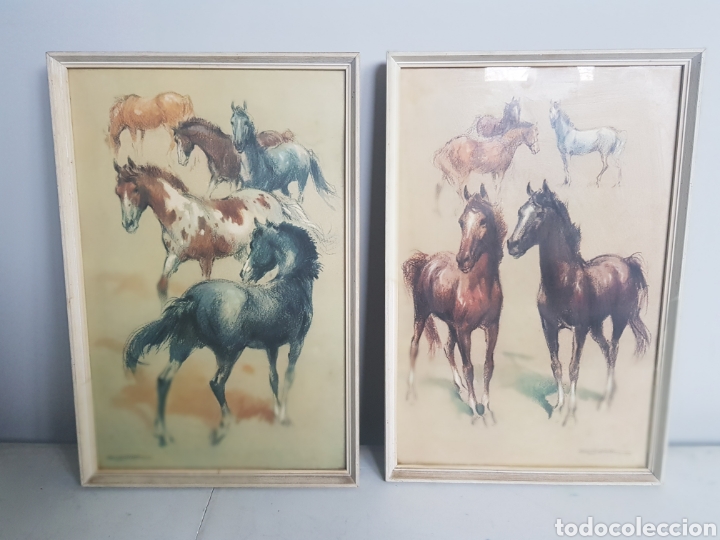 Vintage: PAREJA DE CUADROS CABALLOS