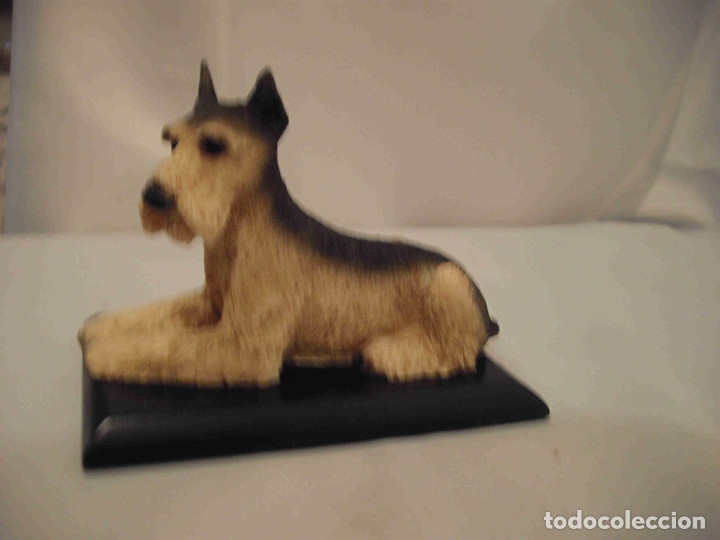 Vintage: 2 GATOS Y 7 PERROS - Foto 8