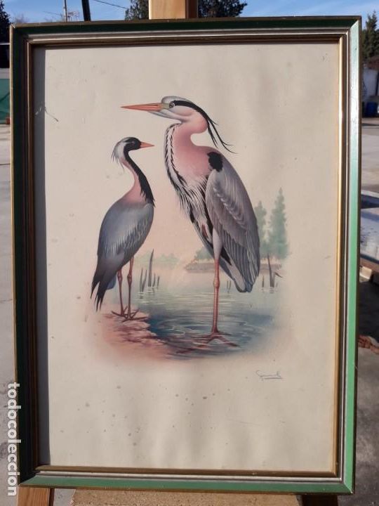 Vintage: Garzas enmarcadas - Foto 1