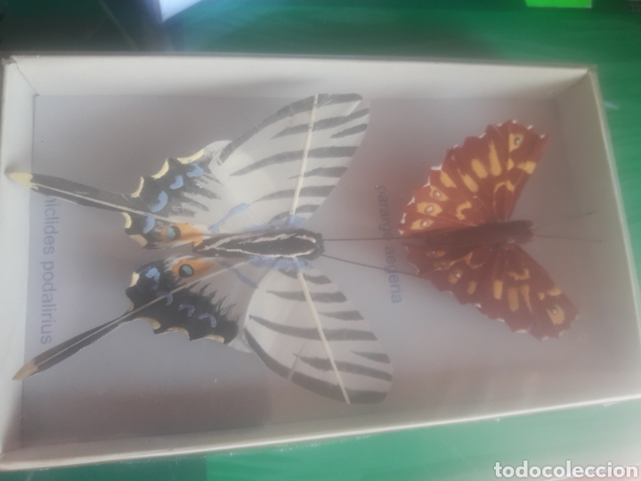 Vintage: Mariposas pintadas - Foto 2