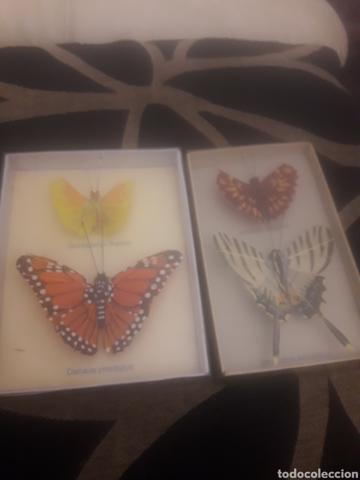 Vintage: Mariposas pintadas - Foto 1