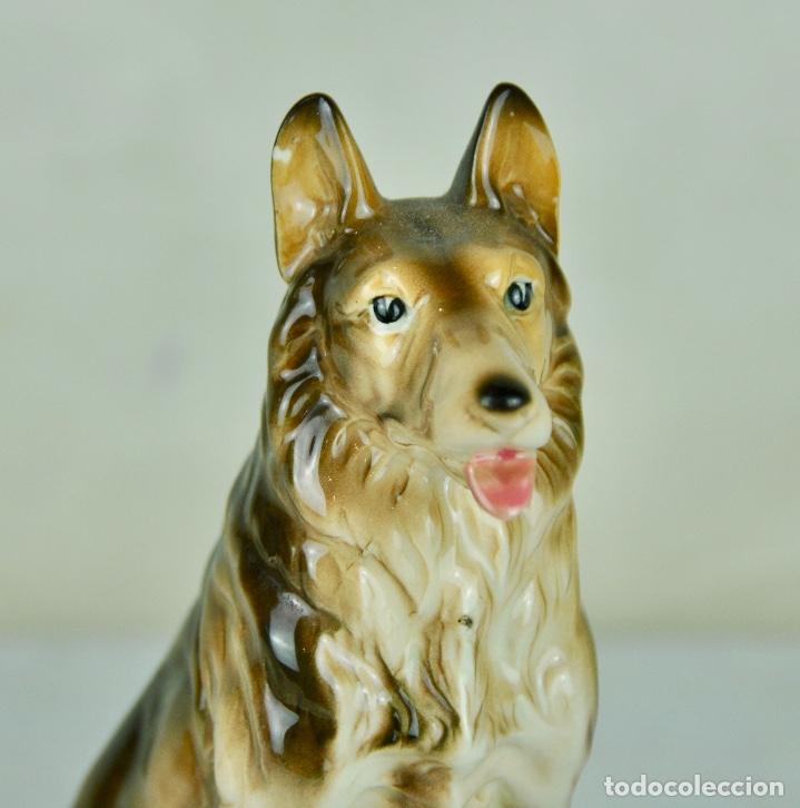Vintage: Perro de porcelana peque&ntilde;o - Foto 2