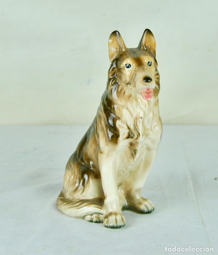 Vintage: Perro de porcelana peque&ntilde;o - Foto 1