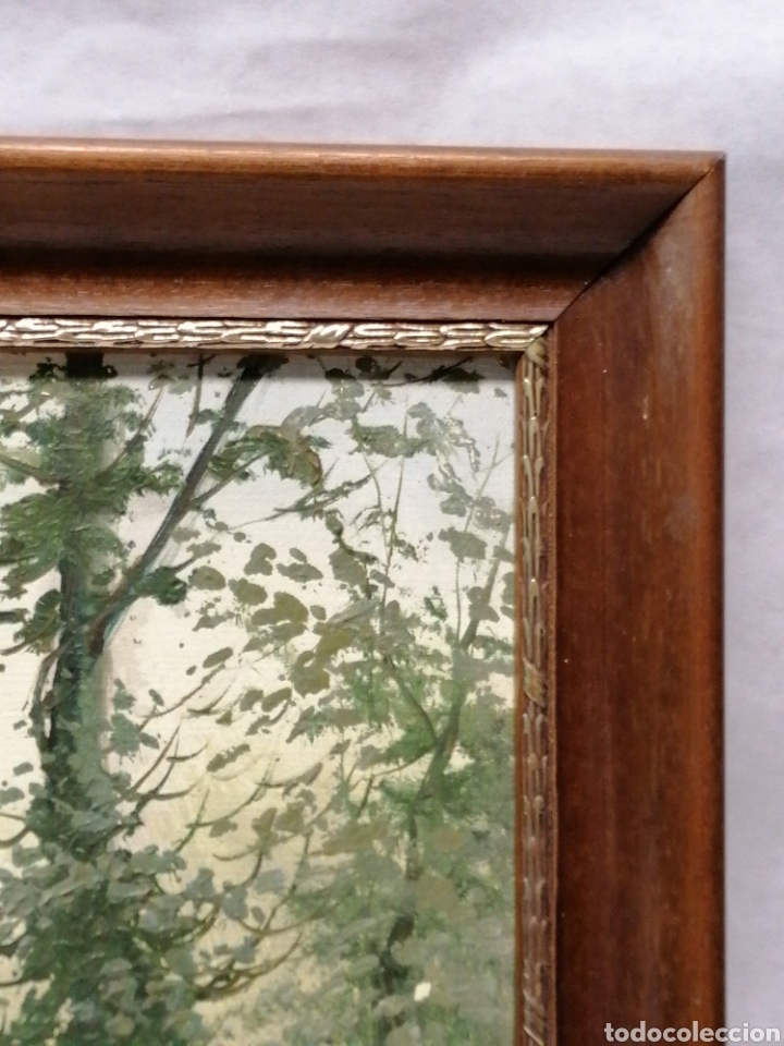 Vintage: Paisaje - Foto 4