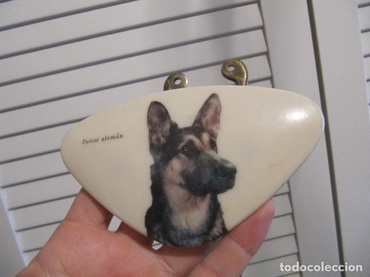 Vintage: PERCHERO VINTAGE PASTOR ALEMAN MOLLET BARCELONA