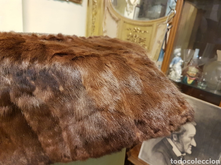 Cuello de vis&oacute;n