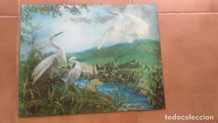 Vintage: Toppan 2 hologramas Egrets Garcetas Garzas 3d lenticular hologr&aacute;ficos 34 x 27 a&ntilde;os 70