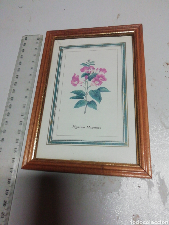 Vintage: Cuadro vintage flor