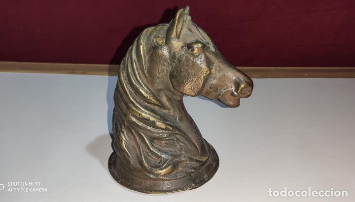 Vintage: BONITA CABEZA DE CABALLO DE BRONCE - Foto 1