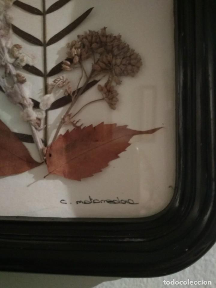 Vintage: CUADRO CON FLOR SECA A&Ntilde;OS 60 - Foto 4