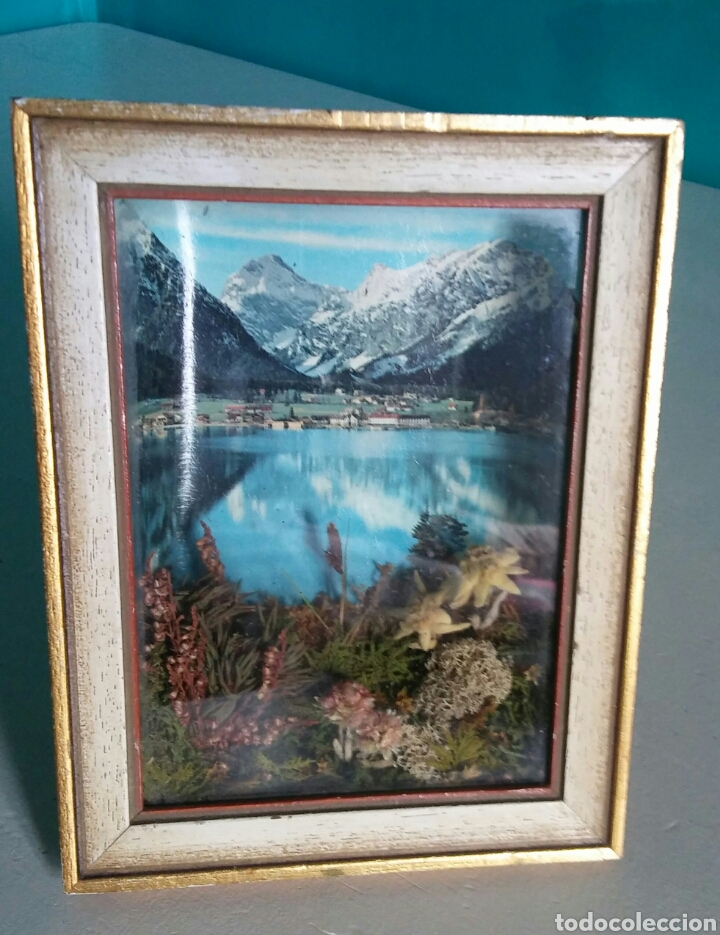 Vintage: Cuadro 3D con Edelweiss y vista - Foto 4