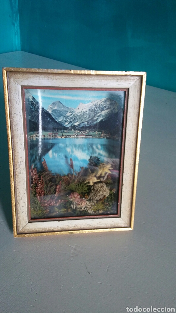 Vintage: Cuadro 3D con Edelweiss y vista - Foto 5