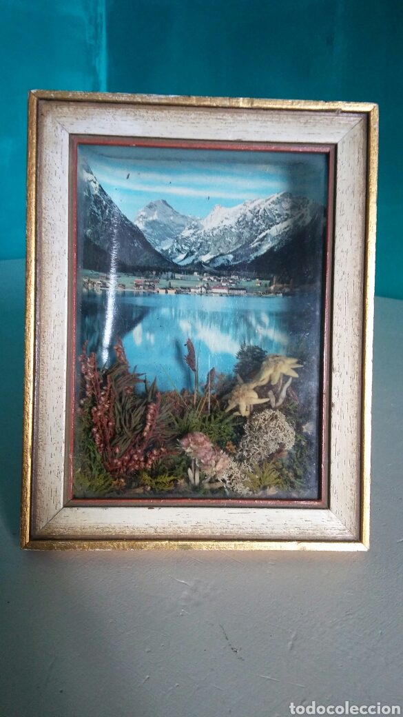 Vintage: Cuadro 3D con Edelweiss y vista - Foto 6