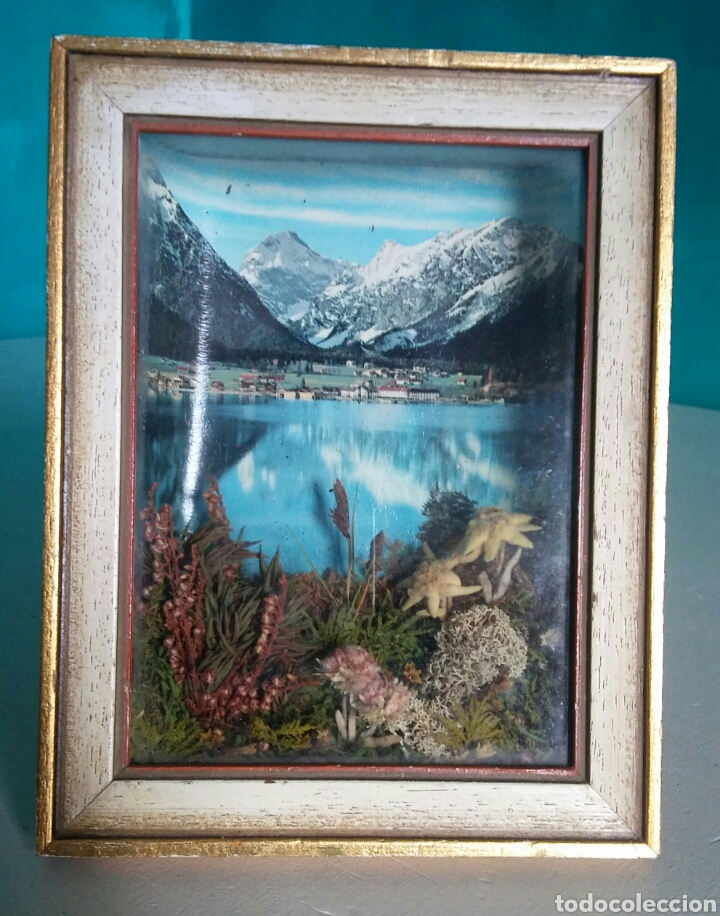 Vintage: Cuadro 3D con Edelweiss y vista