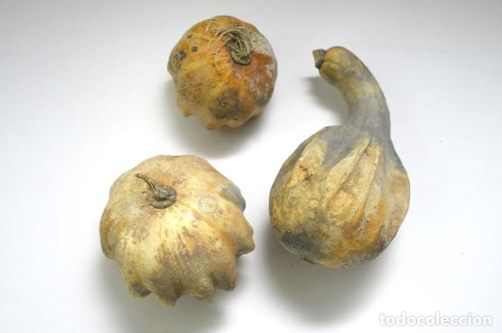 Vintage: 3 CALABAZAS - Foto 3