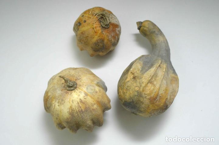 Vintage: 3 CALABAZAS - Foto 4