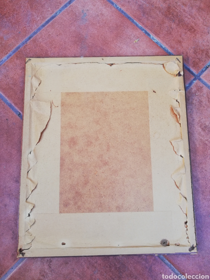 Vintage: Cuadro de planta/flor reales - Foto 2