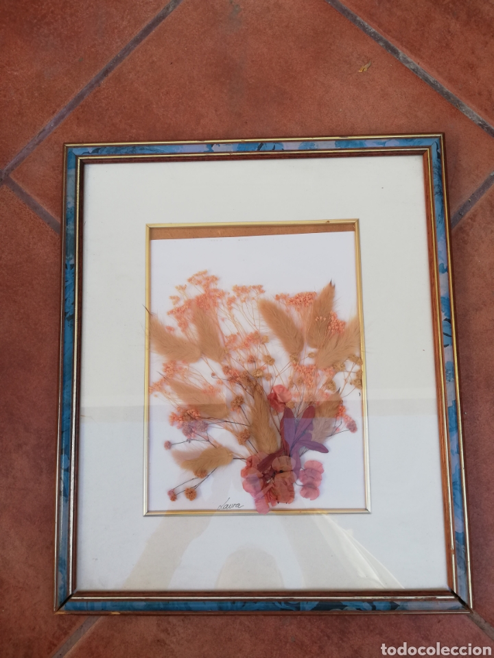 Vintage: Cuadro de planta/flor reales
