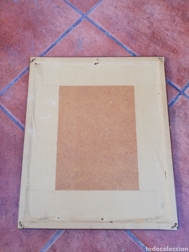 Vintage: Cuadro de planta/flor reales - Foto 2