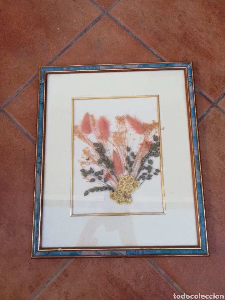 Vintage: Cuadro de planta/flor reales - Foto 1